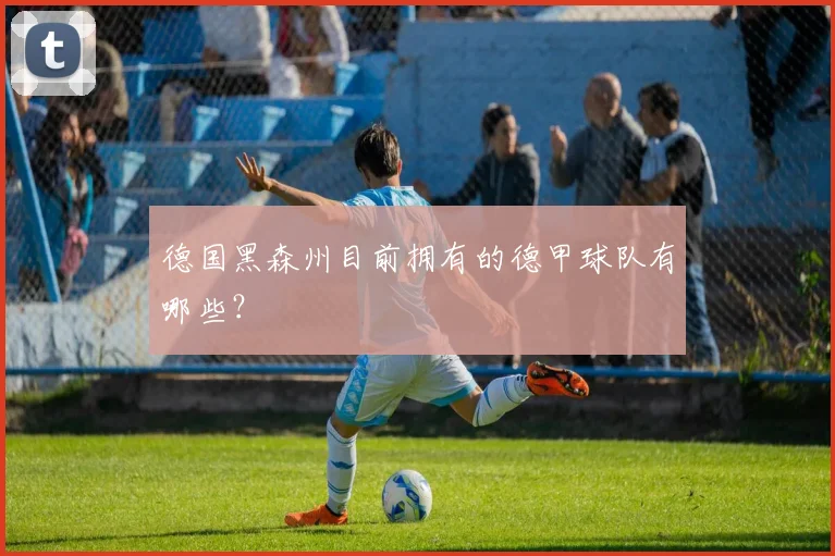 德国黑森州目前拥有的德甲球队有哪些？