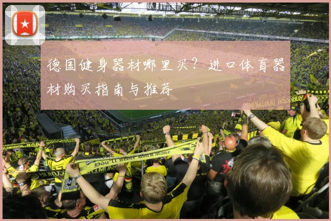 德国健身器材哪里买？进口体育器材购买指南与推荐