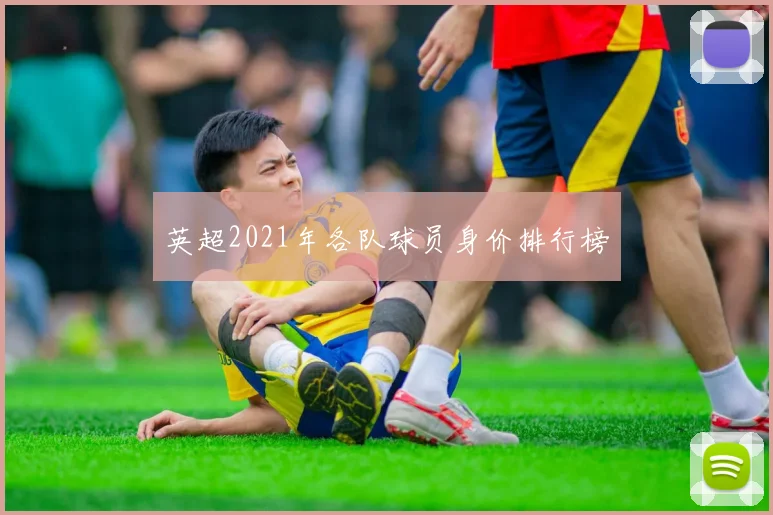 英超2021年各队球员身价排行榜