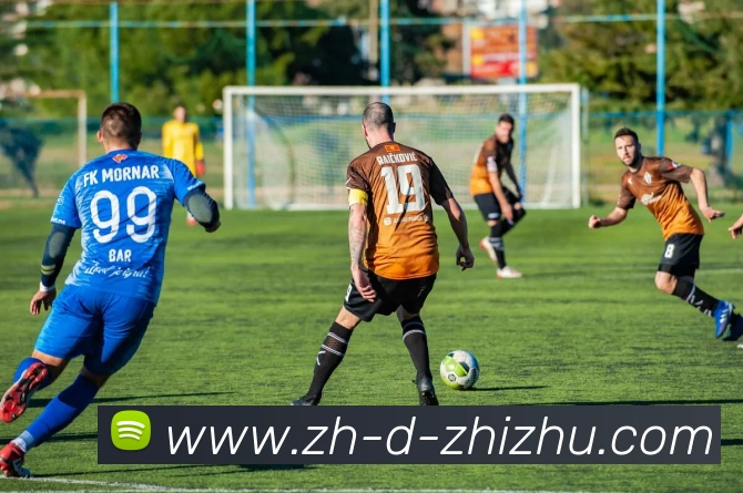 蜘蛛直播发展历程